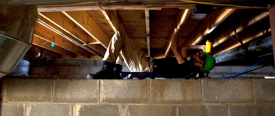 Lawrence, MA mold removal